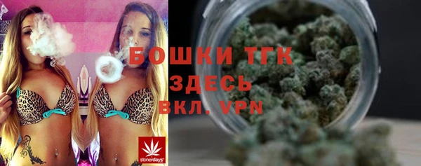 хмурый Сосновка