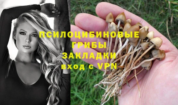 прущие крисы Абаза