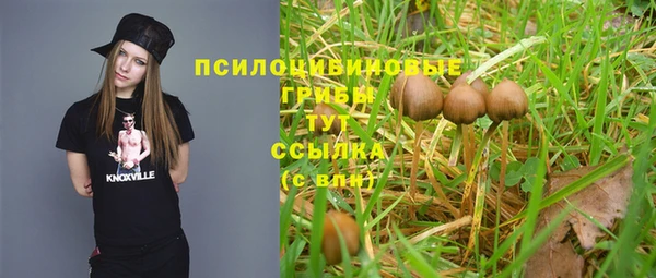 прущие крисы Абаза