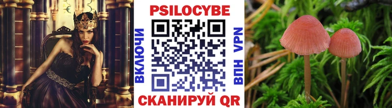 Псилоцибиновые грибы Psilocybine cubensis  Назрань 