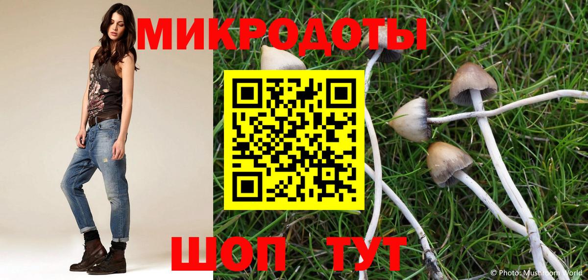 Псилоцибиновые грибы Magic Shrooms  Псилоцибиновые грибы GOLDEN TEACHER  Назрань  Вход с VPN 