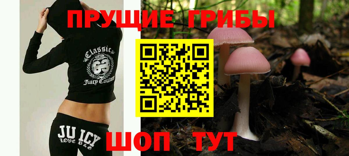 Галлюциногенные грибы Magic Shrooms Назрань