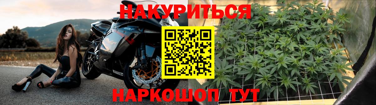 Назрань  МАРИХУАНА план  Вход с VPN  Каннабис семена  Шишки марихуана сатива 